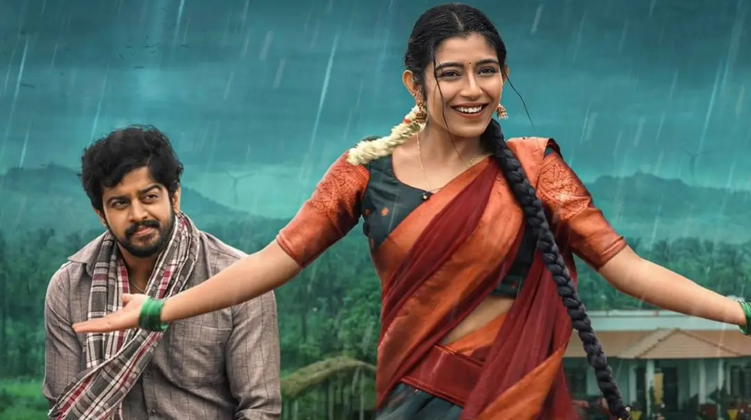 মুক্তির ২৯ দিনে যে সিনেমার আয় ছাড়িয়েছে ১১৪ কোটি