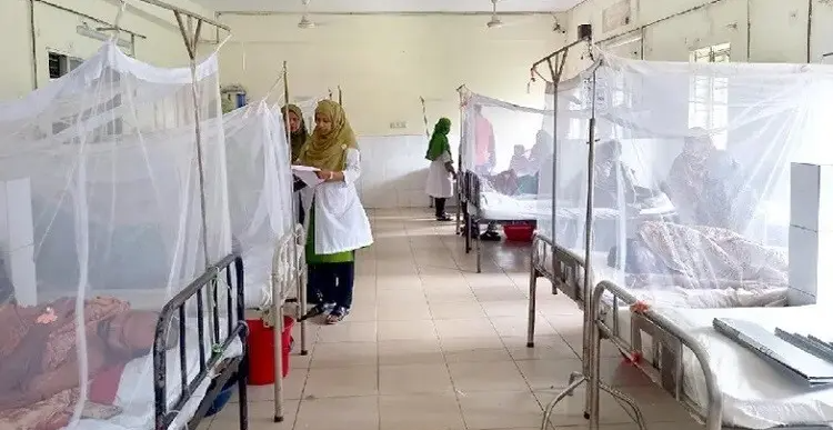 ডেঙ্গুতে একদিনে সর্বোচ্চ ১১ মৃত্যু